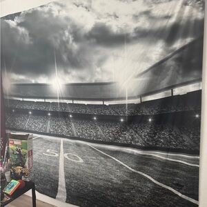 Pottery Barn Teen Football Fabric Wall Mural